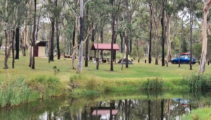 Camped at Weir Park